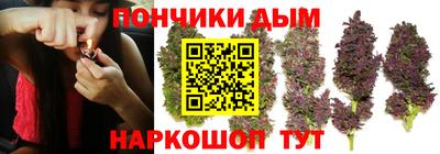 гашик Гай