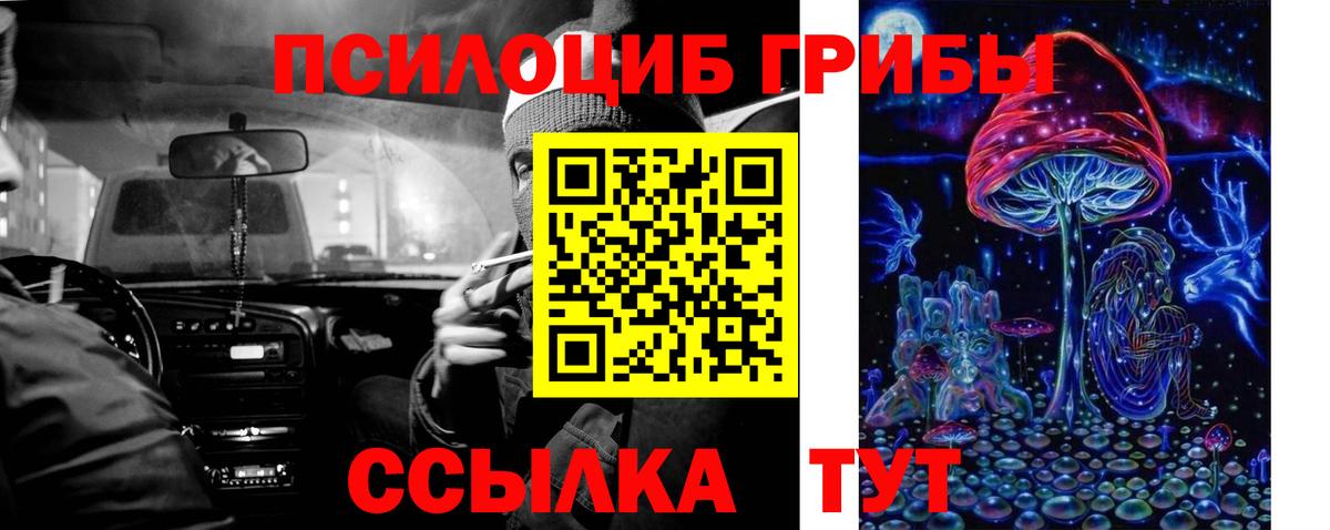 цены наркотик  Псилоцибиновые грибы Cubensis  Вход с VPN  Балахна 
